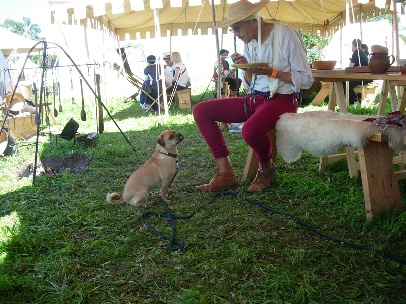 Fehraltorf 2010