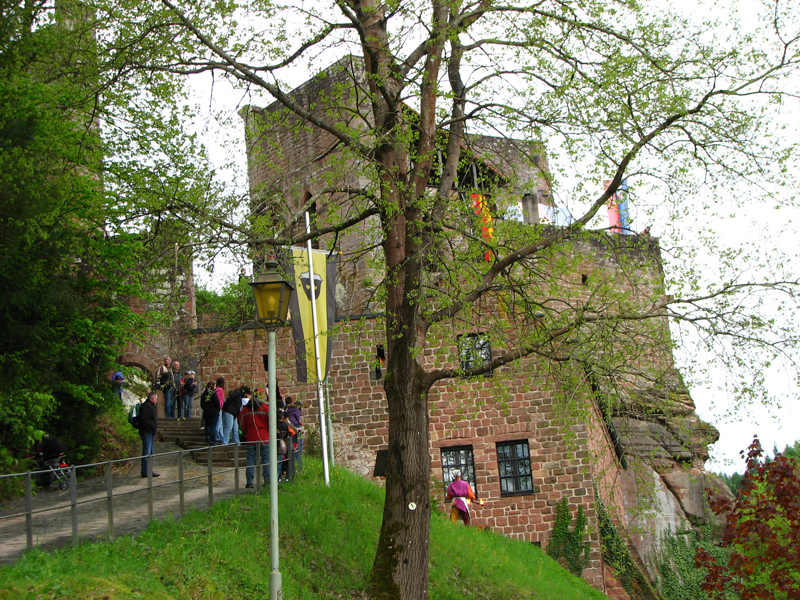 Spangenberg 2010